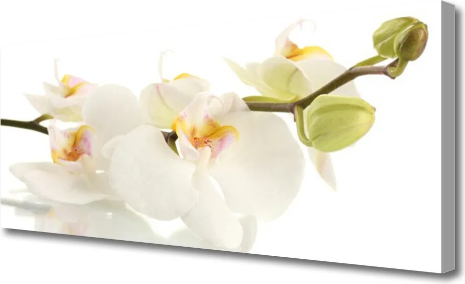 Zdjęcie na płótnie Letnia Kompozycja Kwiatowa