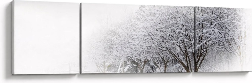 Obraz - Zimowa aleja (170x50 cm)