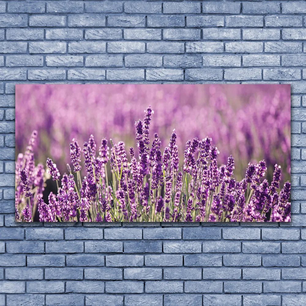 Obraz Akrylowy Kwiaty Roślina Natura