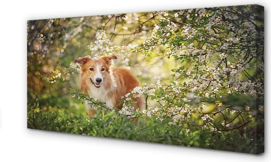 Obraz drukowany na płótnie Pies w Lesie wśród Kwiatów