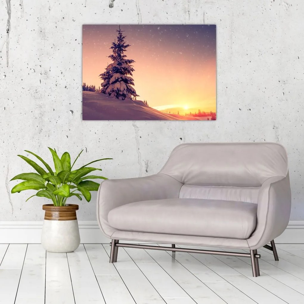 Obraz na szkle - ośnieżone drzewo na łące (70x50 cm)