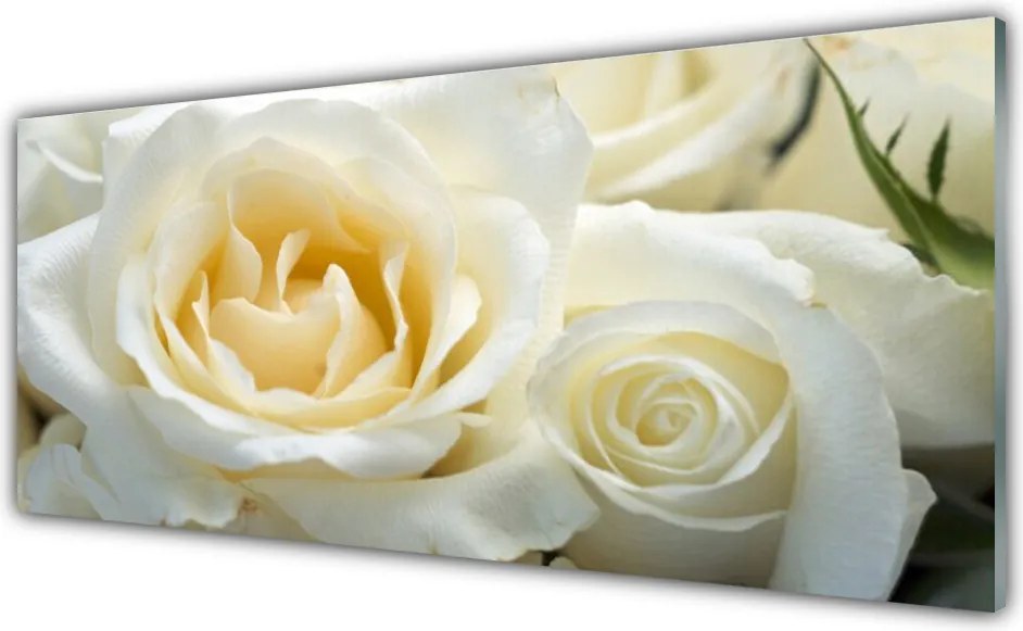 Panel Kuchenny Elegancja Czerwonych Róż