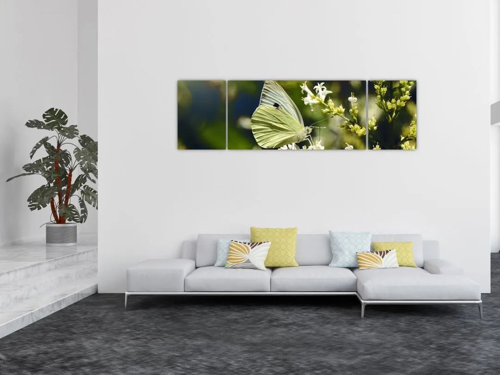 Obraz motyla (170x50 cm)