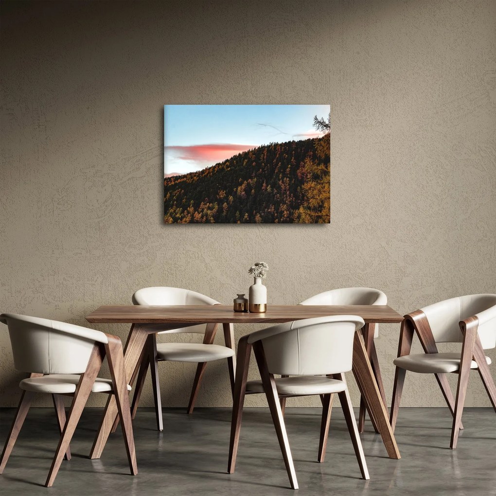Obraz rudzików nad wzgórzem (70x50 cm)