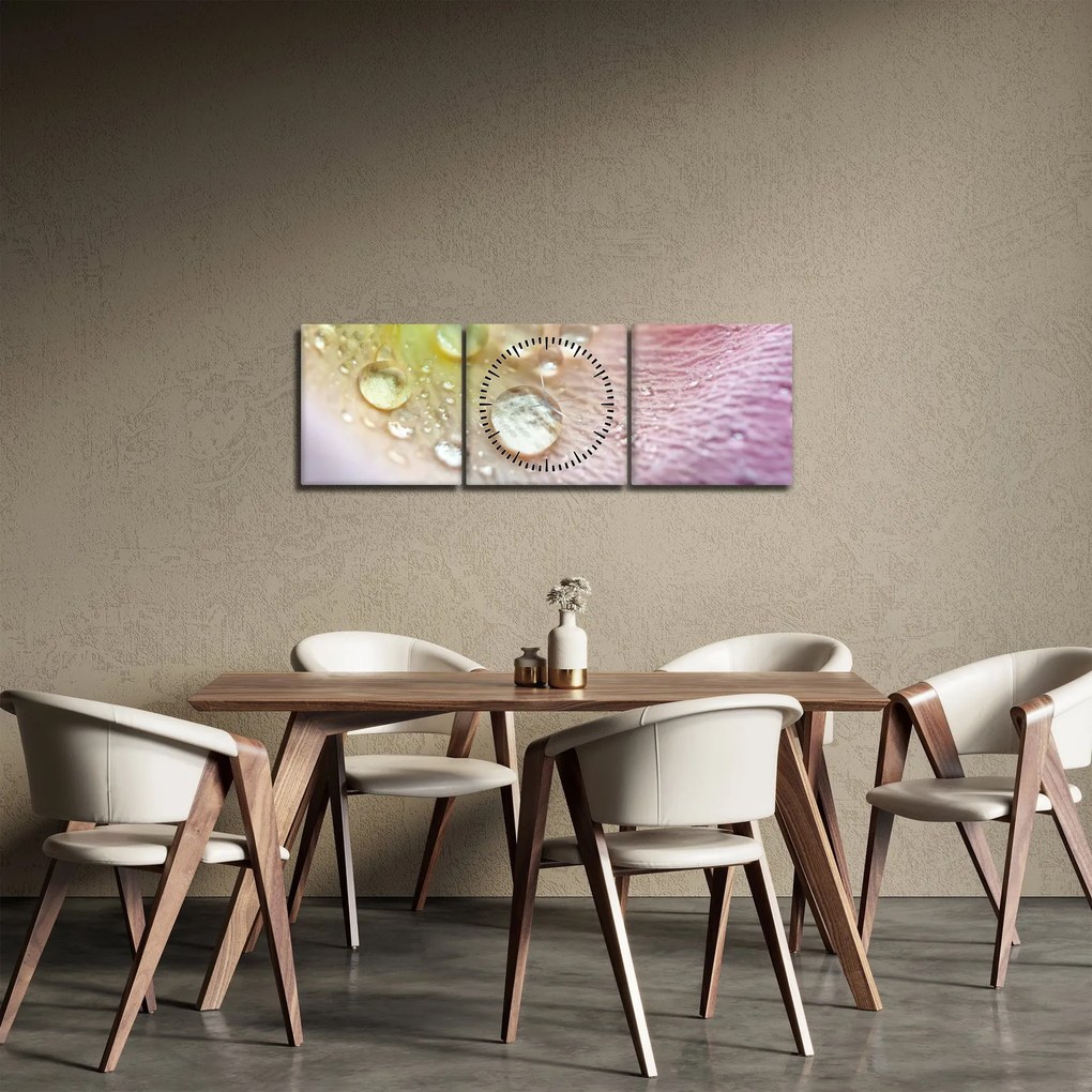 Obraz - Krople rosy (z zegarem) (90x30 cm)