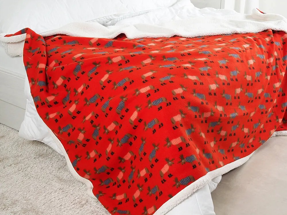 B.E.S. Petrovice Kocyk dla niemowląt BuffaloSobíci, 150 x 200 cm