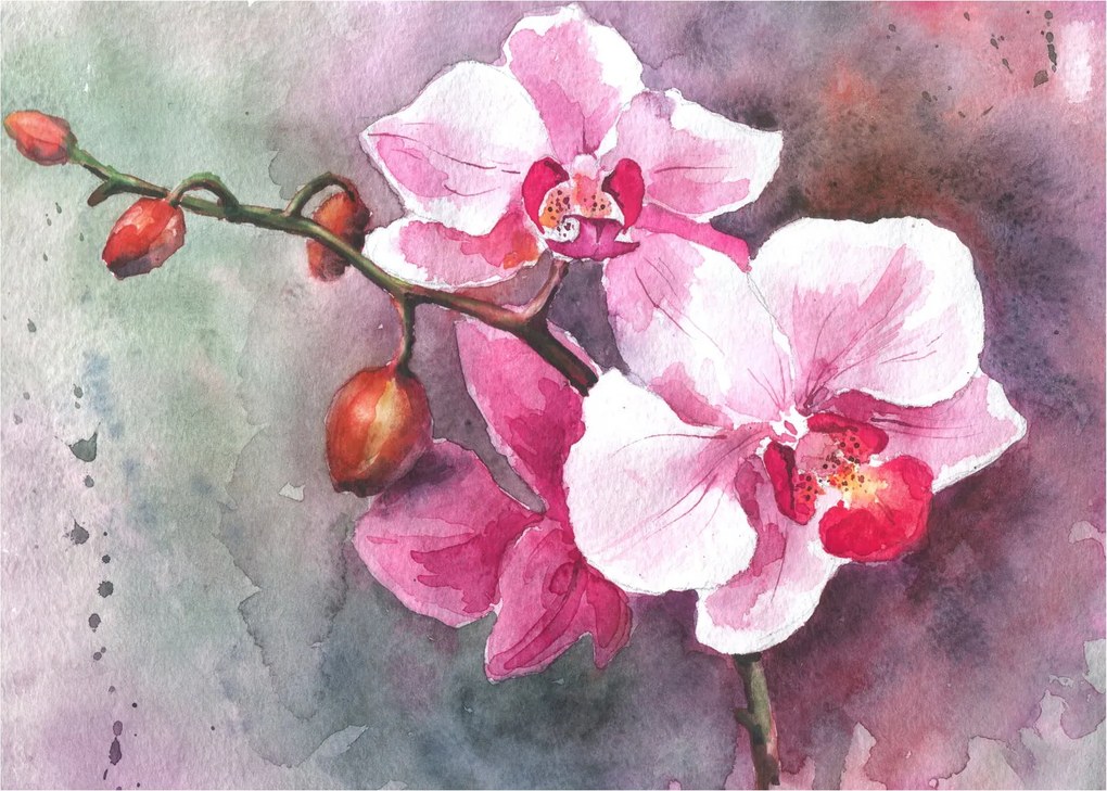 Obraz - Orchidee, akwarela (70x50 cm)