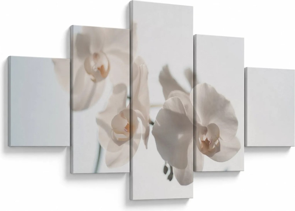 Obraz białej orchidei (125x70 cm)