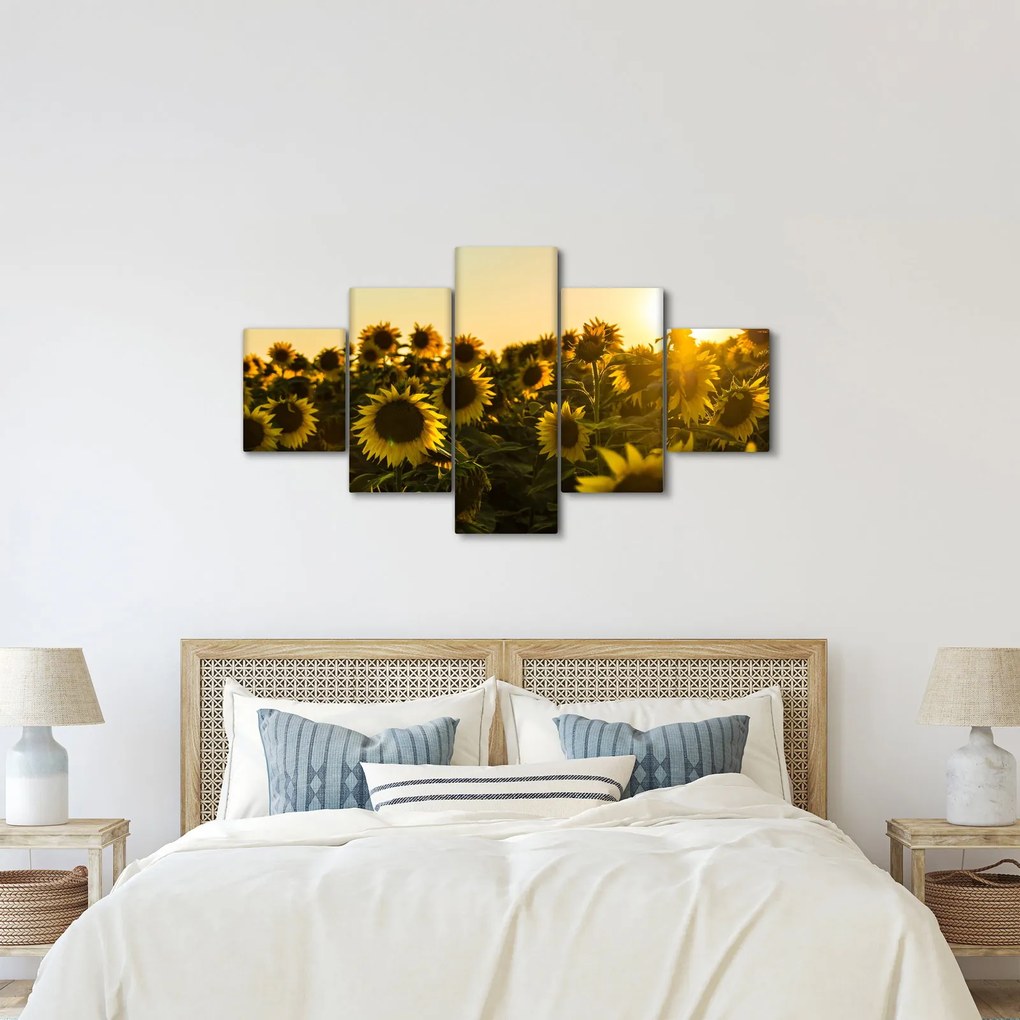 Obraz pola słoneczników (125x70 cm)