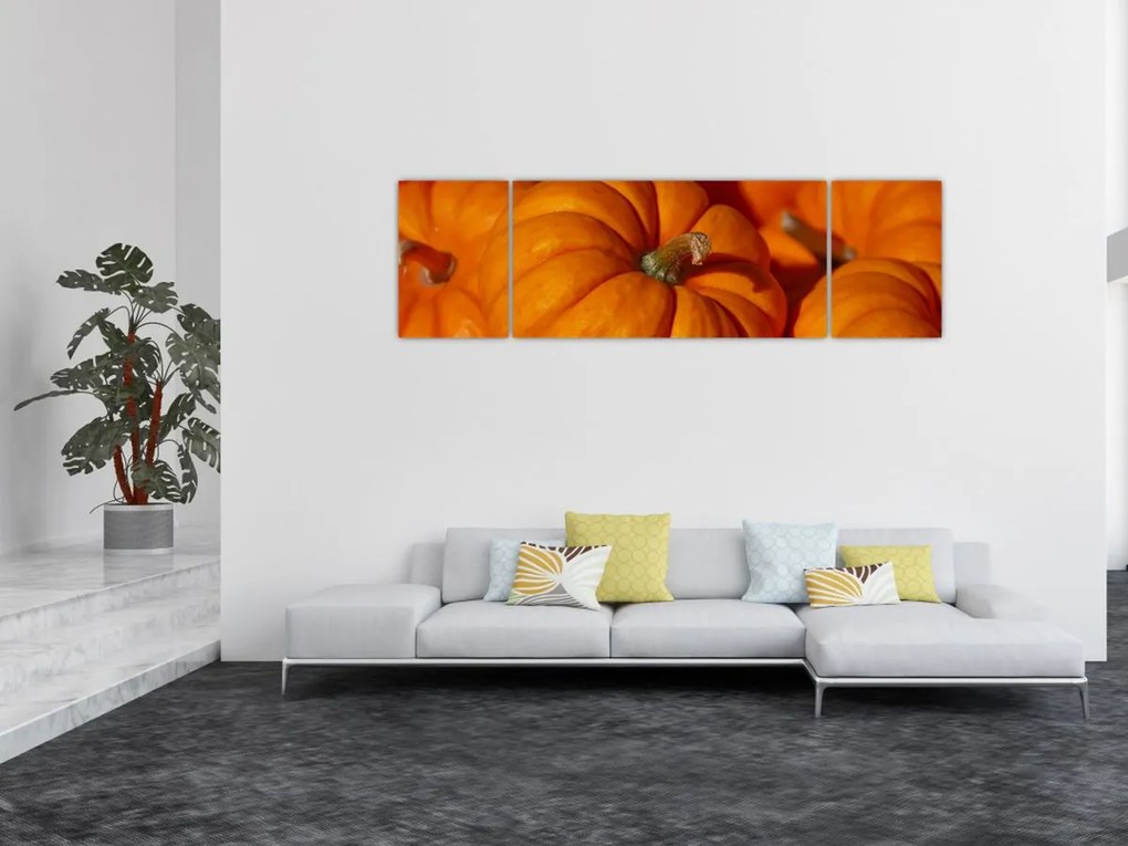 Obraz - Wspaniałe dynie (170x50 cm)