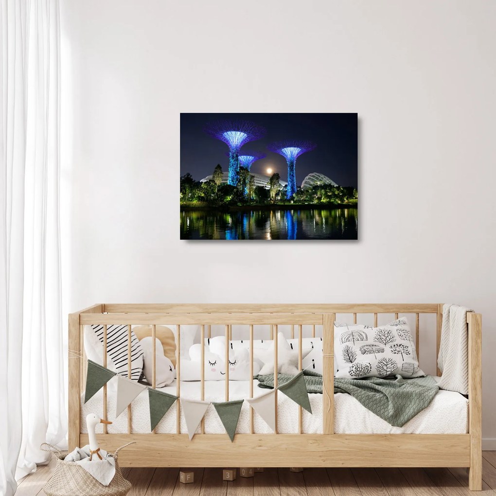 Obraz na szkle przedstawiający pełnię księżyca w ogrodach Singapuru (70x50 cm)