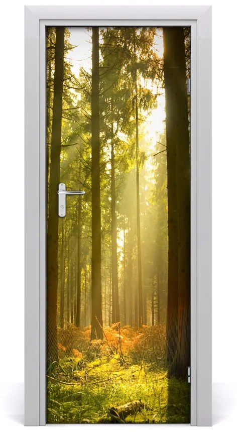 Naklejka fototapeta na drzwi Krajobrazy Piękny las