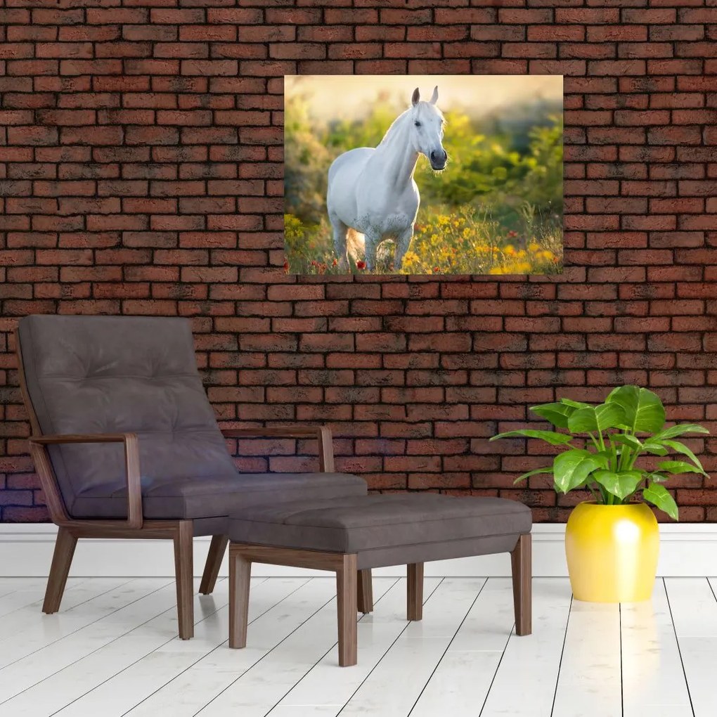 Obraz białego konia na łące (70x50 cm)