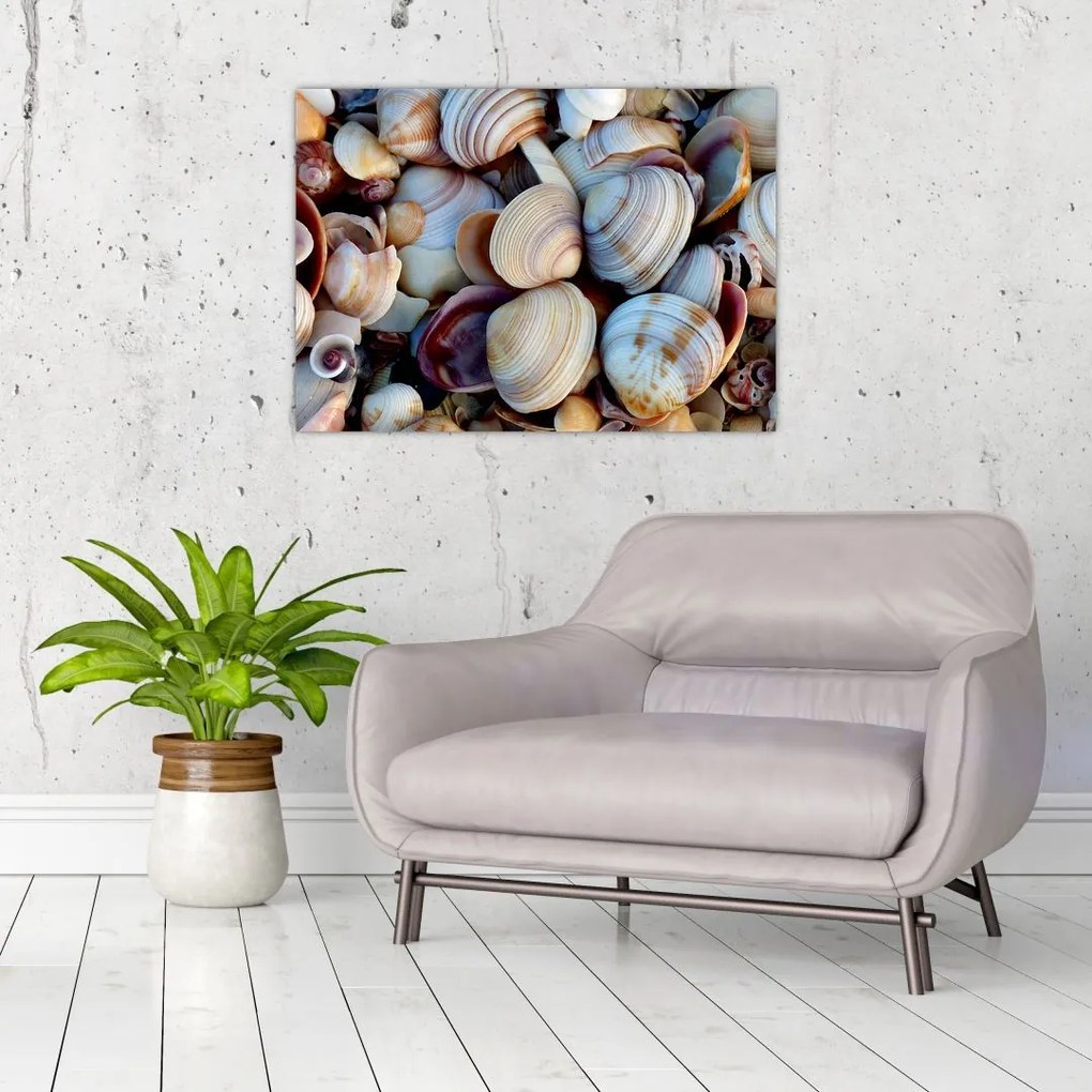 Obraz na szkle muszelek (70x50 cm)