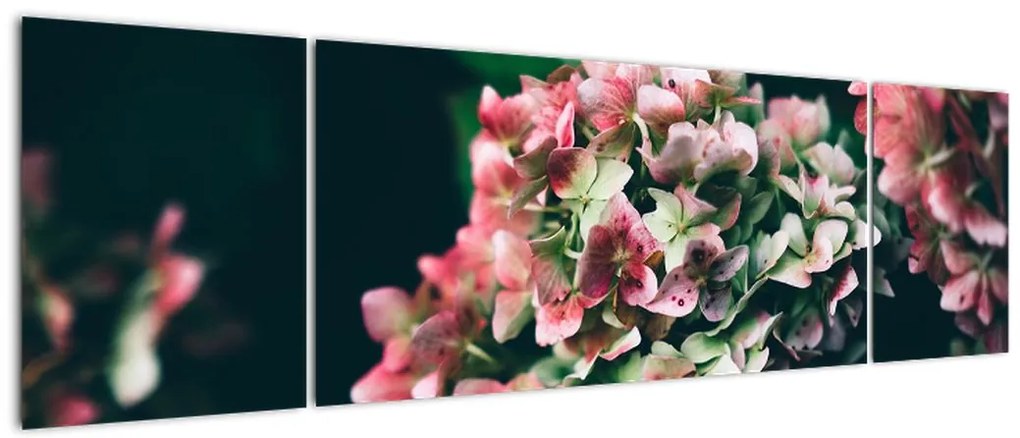 Obraz - Fragment Hortensji (170x50 cm)