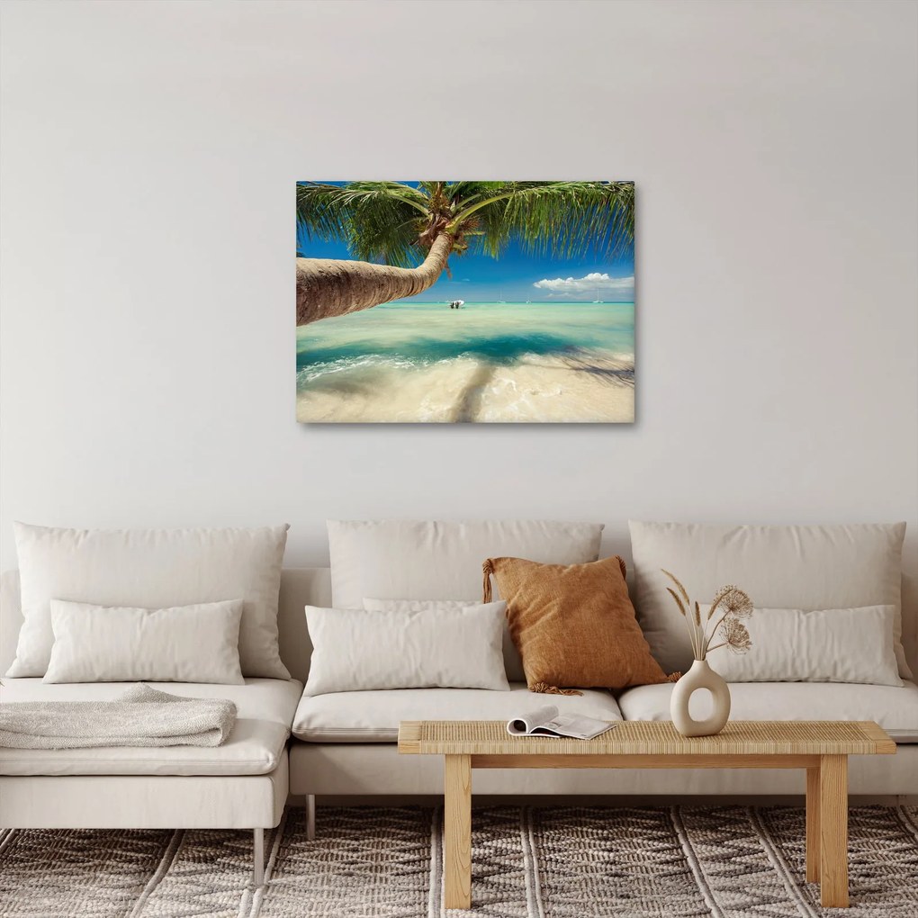 Obraz - Czyste morze z palmą (70x50 cm)