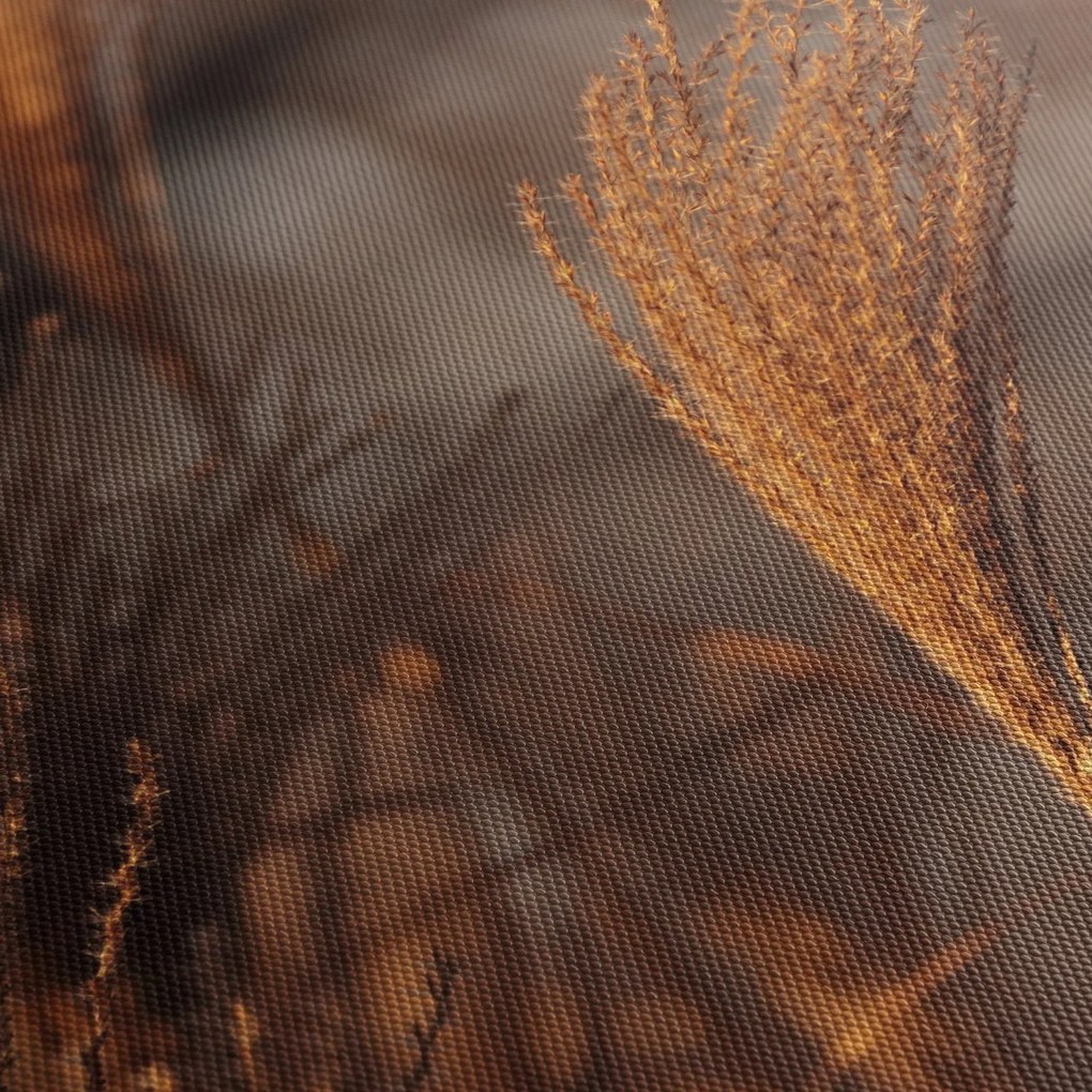 Obraz - Kortaderia (125x70 cm)
