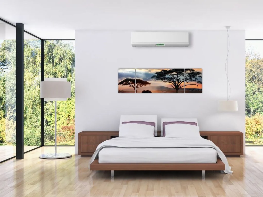 Obraz - Park Narodowy Serengeti, Tanzania, Afryka (170x50 cm)