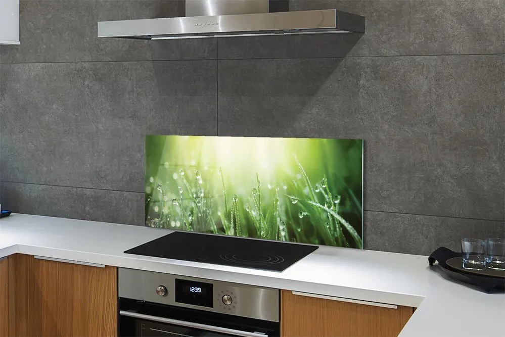 Szklany Panel Trawa w Promieniach Słońca