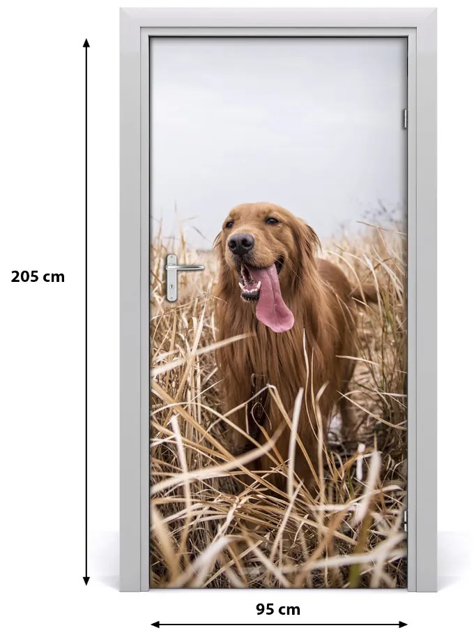 Naklejka samoprzylepna na drzwi Golden retriever