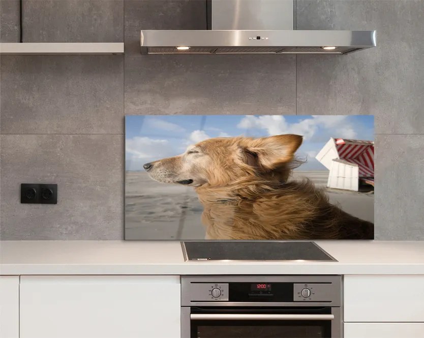 Szklany Panel Pies na Nadmorskiej Plaży