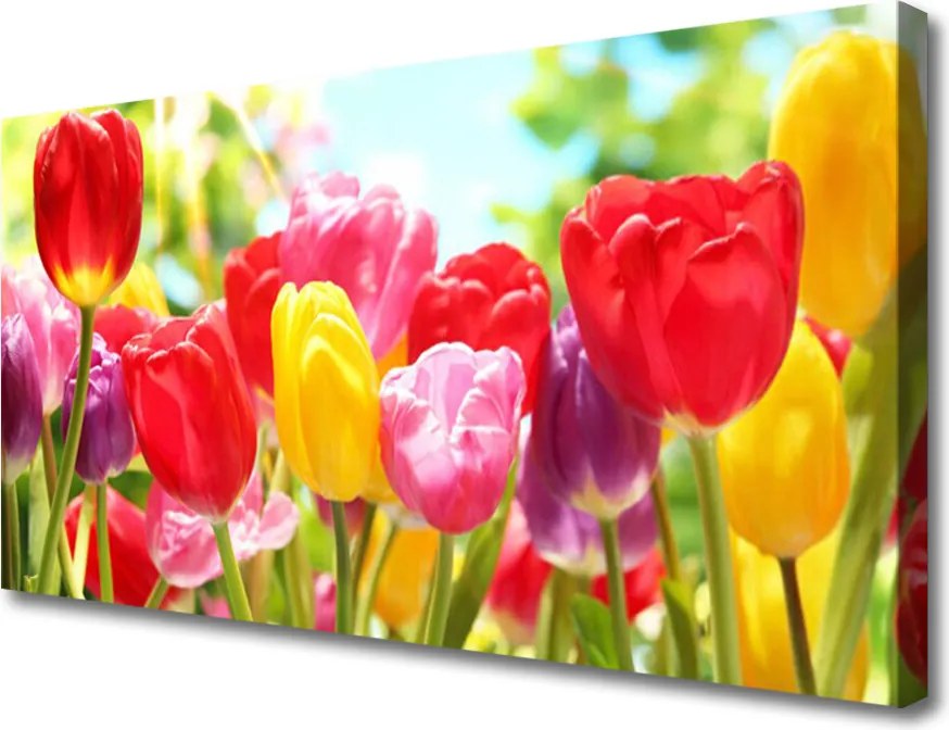 Obraz canvas Klasyczne Czerwone Tulipany