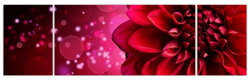 Obraz czerwonego kwiatu (170x50 cm)