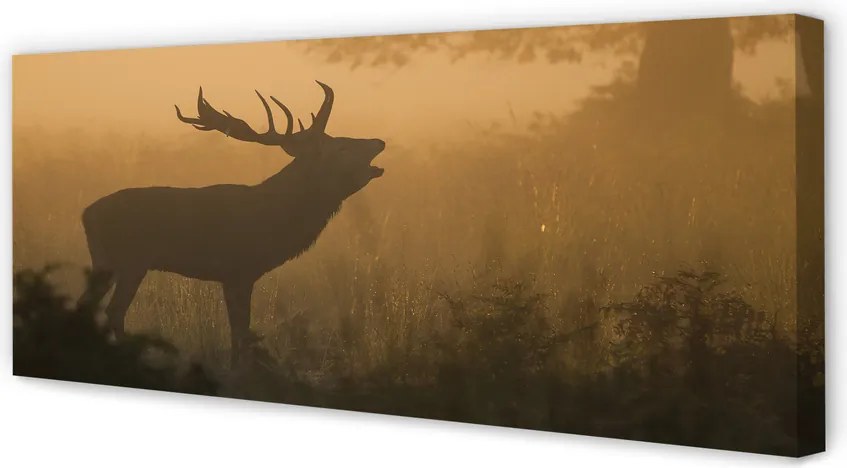 Duży obraz na płótnie Jeleń o Wschodzie Słońca