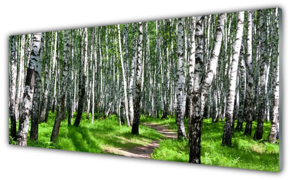 Obraz na Szkle Drzewa Trawa Natura