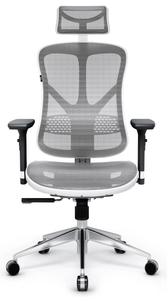 Fotel ergonomiczny Diablo V-Basic, biało-szary