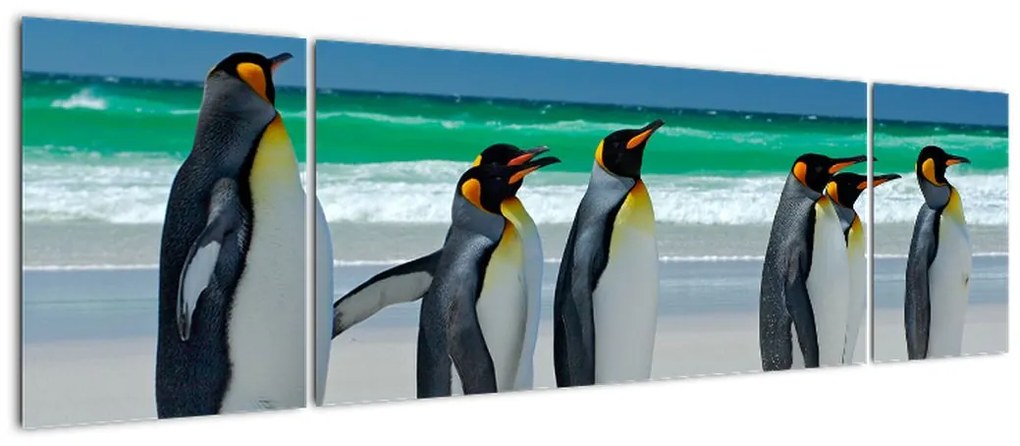 Obraz - Grupa Pingwinów królewskich (170x50 cm)
