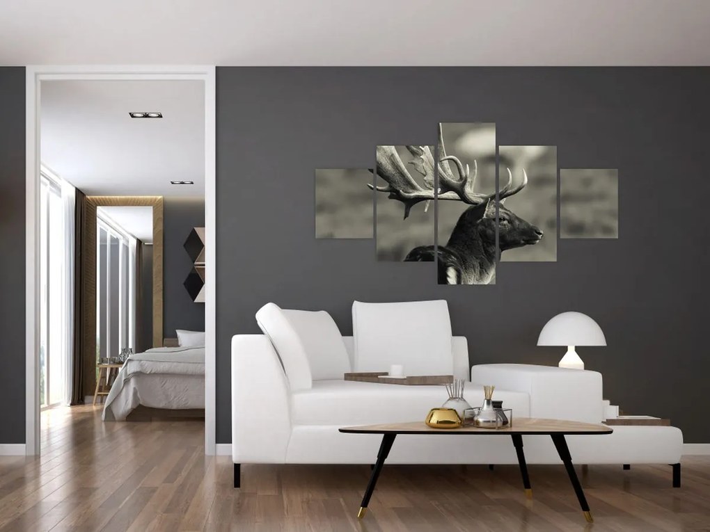 Obraz - Jeleń (125x70 cm)