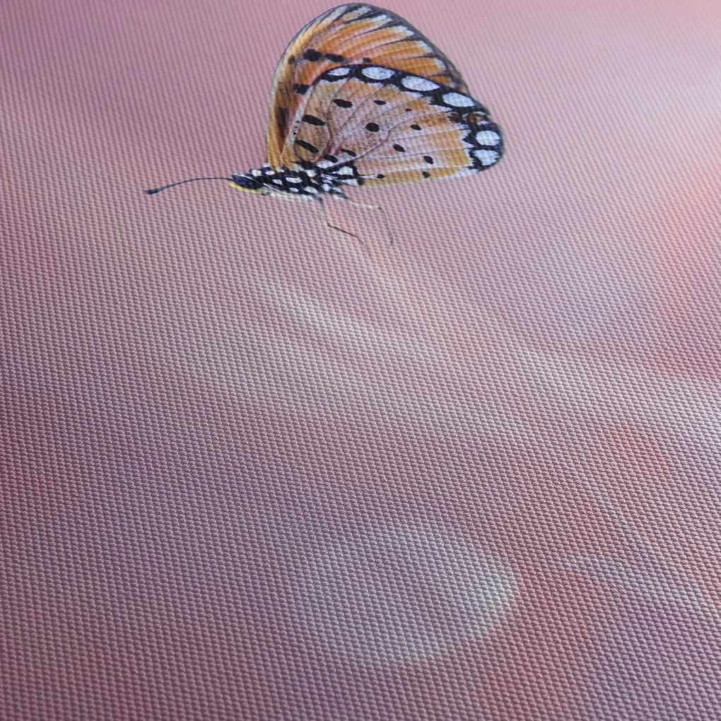 Obraz - Motyl (z zegarem) (90x30 cm)