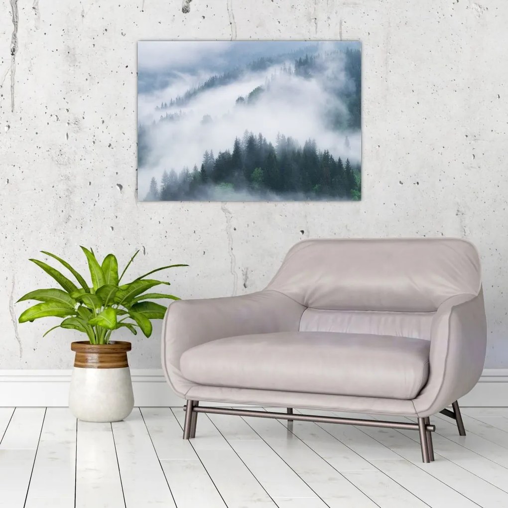 Obraz - Drzewa we mgle (70x50 cm)