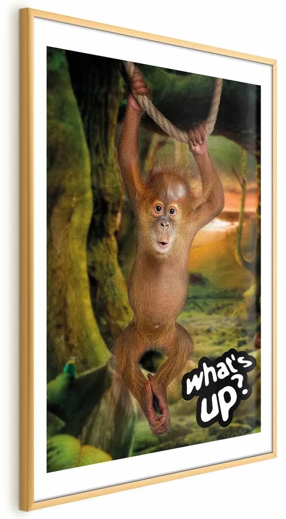 Plakat What's Up 21x30 cm z ramą złotą z marginesem ARTGEIST B
