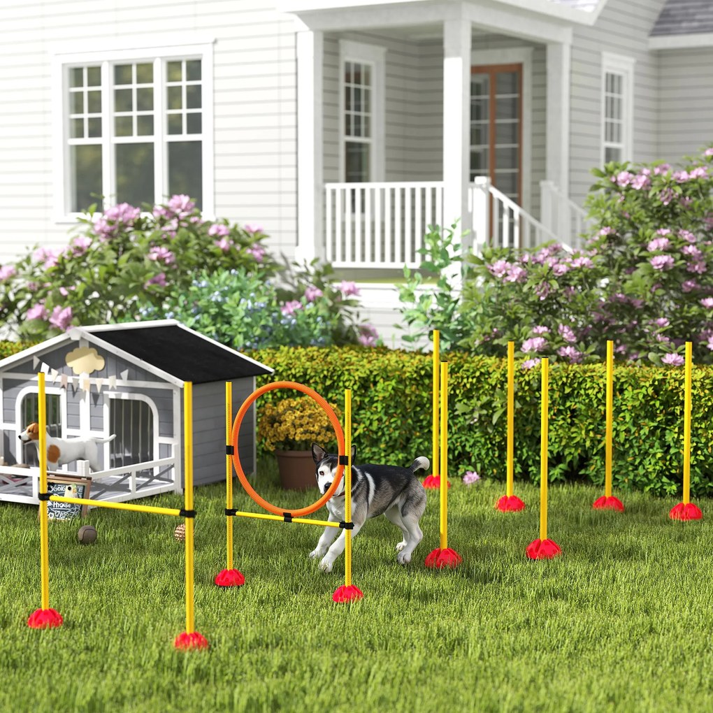 PawHut 3-częściowy Wypełnialny Zestaw Agility dla Psów do Treningu Zręczności z Słupkami Slalomowymi