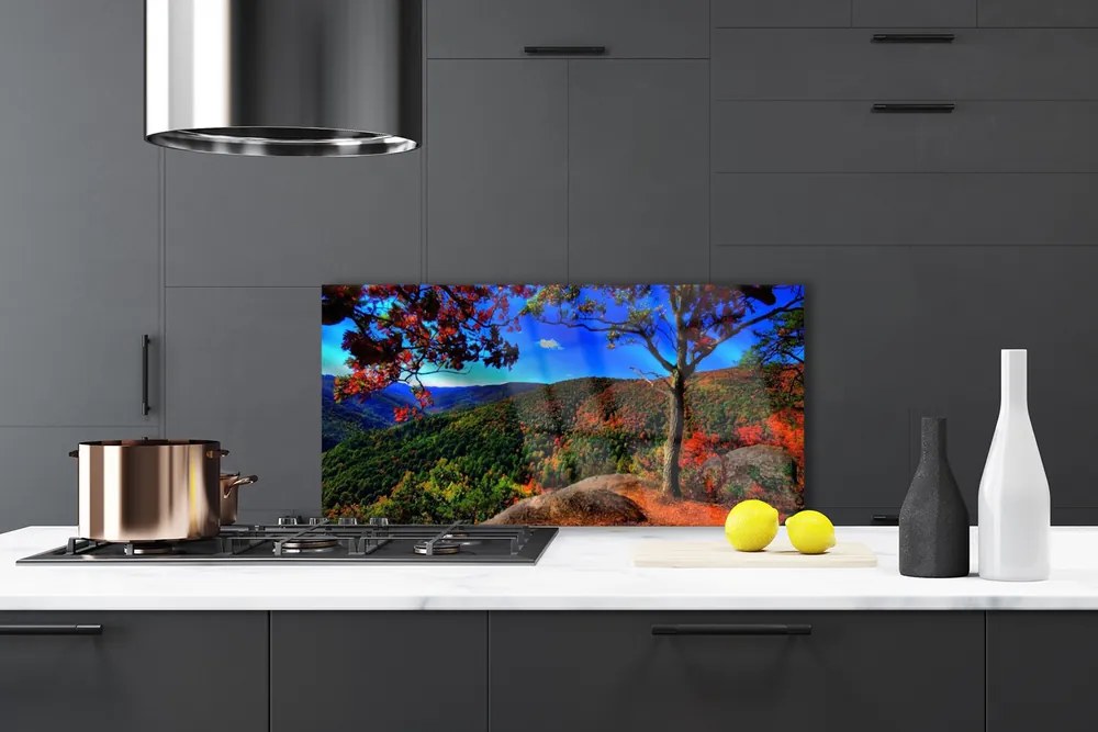 Panel Kuchenny Szczyty Gór W Gęstym Lesie