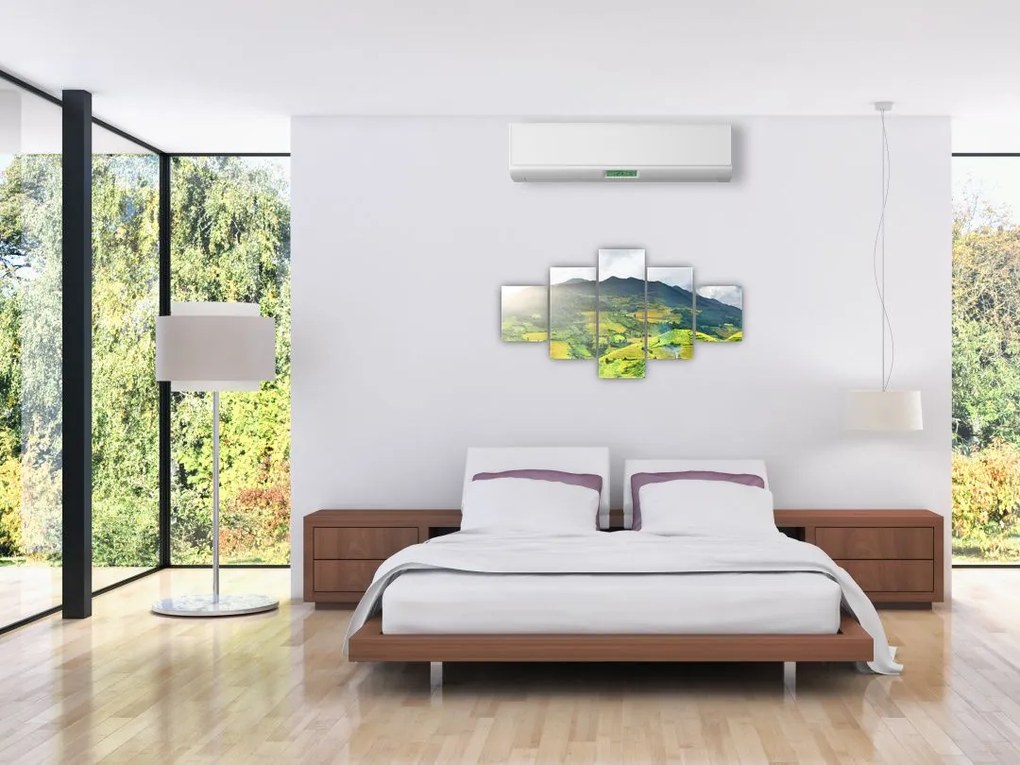 Obraz plantacji (125x70 cm)