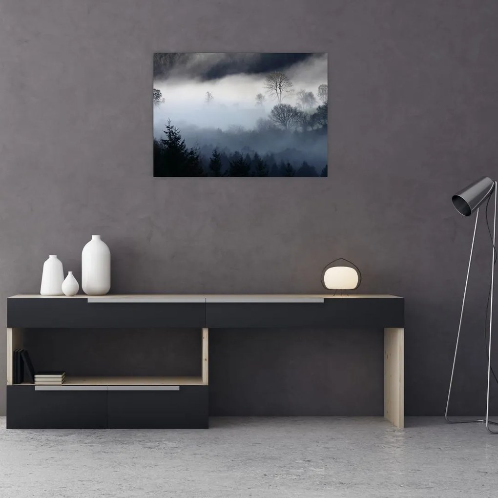 Obraz na szkle mgły nad lasem (70x50 cm)