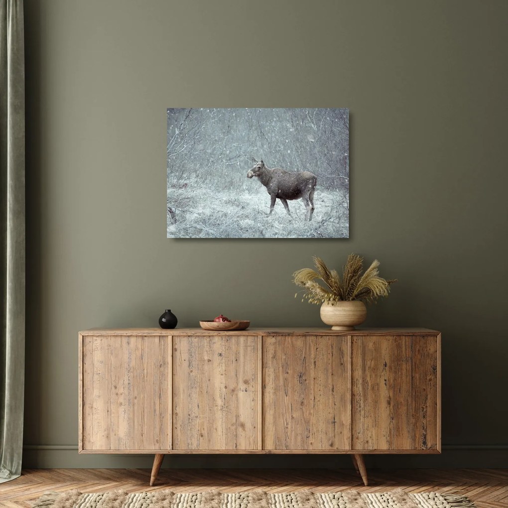 Obraz na szkle - Łoś w śnieżnym lesie (70x50 cm)