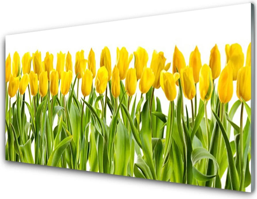 Panel Szklany Tulipany w Porannym Słońcu