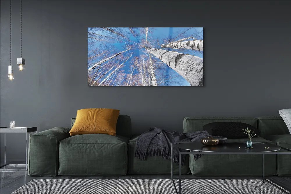 Zdjęcie na płótnie Brzozy na Tle Nieba