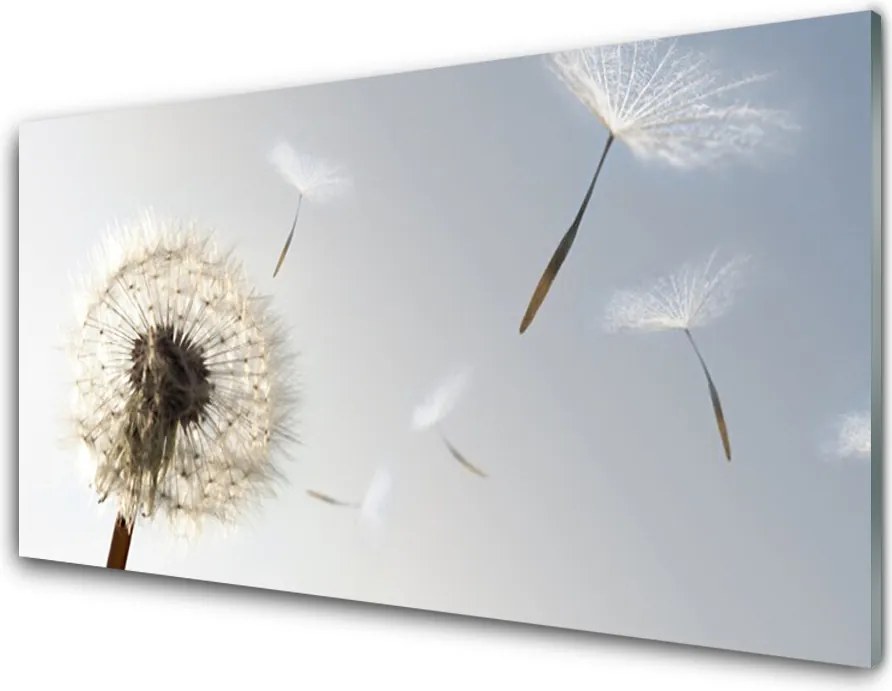Panel Szklany do Kuchni Ulotne Nasiona Dmuchawca