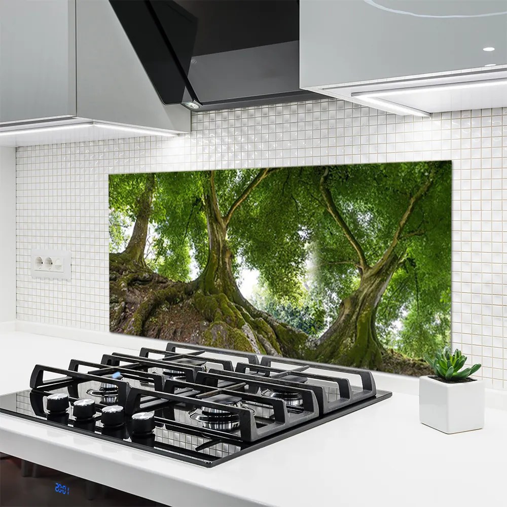 Panel Szklany do Kuchni Korony Rozłożystych Drzew