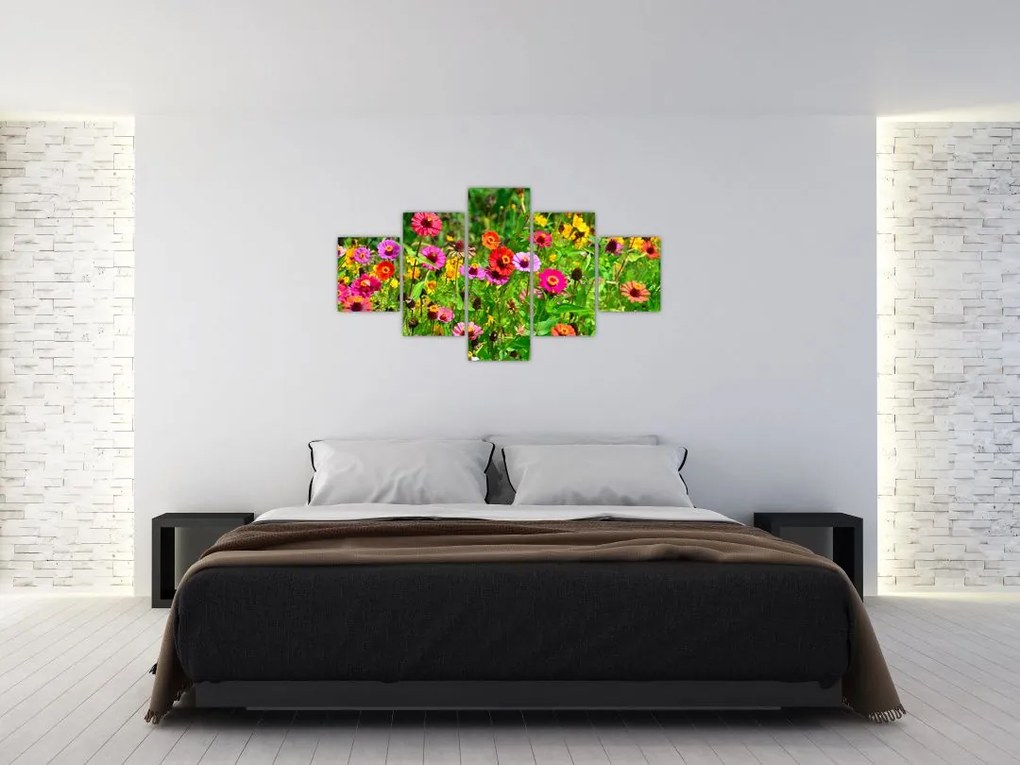 Obraz kwiatów polnych (125x70 cm)