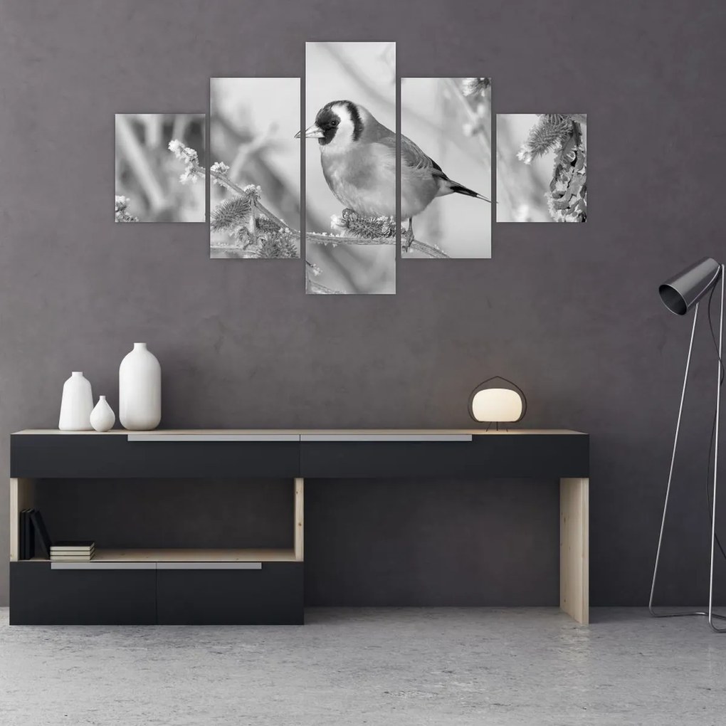 Obraz - Ptak zimą (125x70 cm)