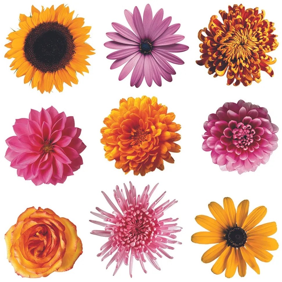 Dekoracja samoprzylepna Flowers, 30 x 30 cm