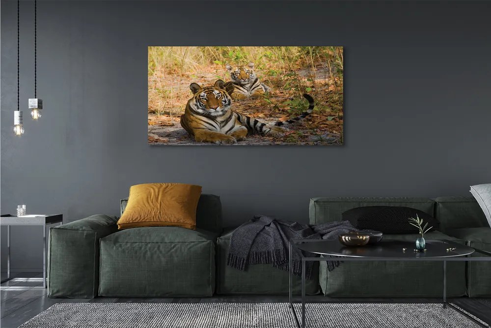 Obraz na płótnie Tygrysy w Dżungli