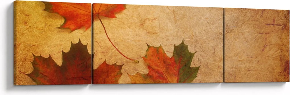 Obraz z motywem jesiennym (170x50 cm)