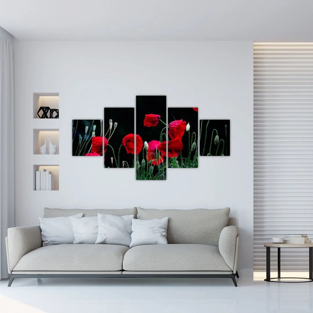 Obraz - Taniec maków (125x70 cm)